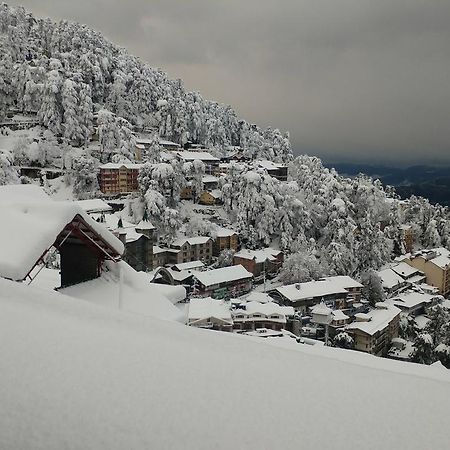 Ymca Tourist Hostel Shimla Eksteriør billede